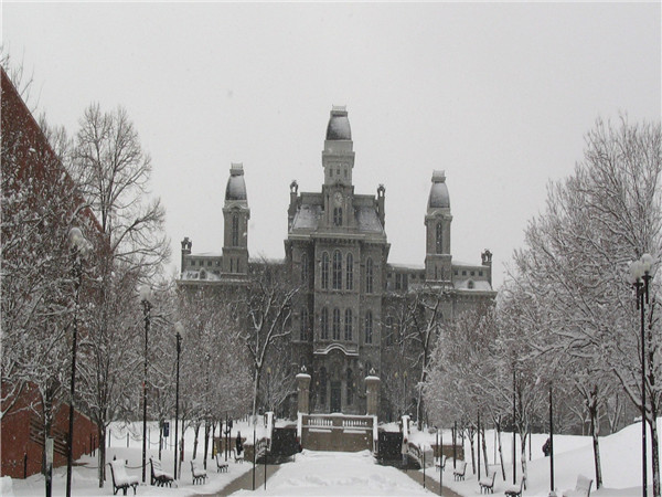 简称su)或译锡拉丘兹大学,成立于1870年,位于美国纽约州雪城,是一所